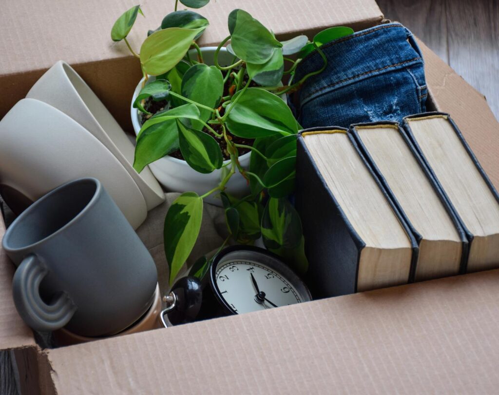 Trusted professionals providing full-service property management services in Little Elm, TX, for local homeowners and investors